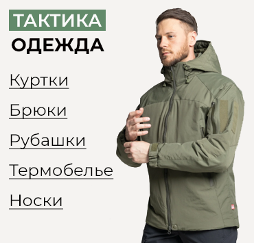 Одежда